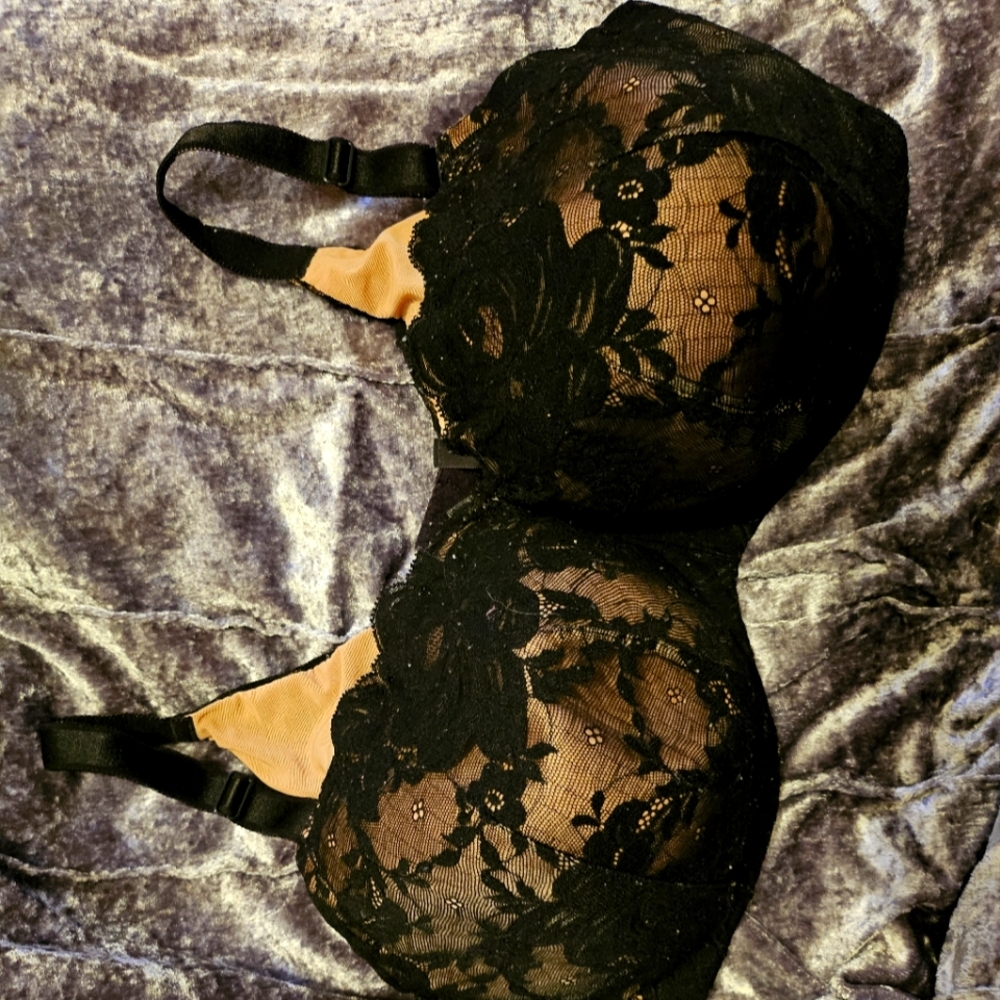 Torrid Bra